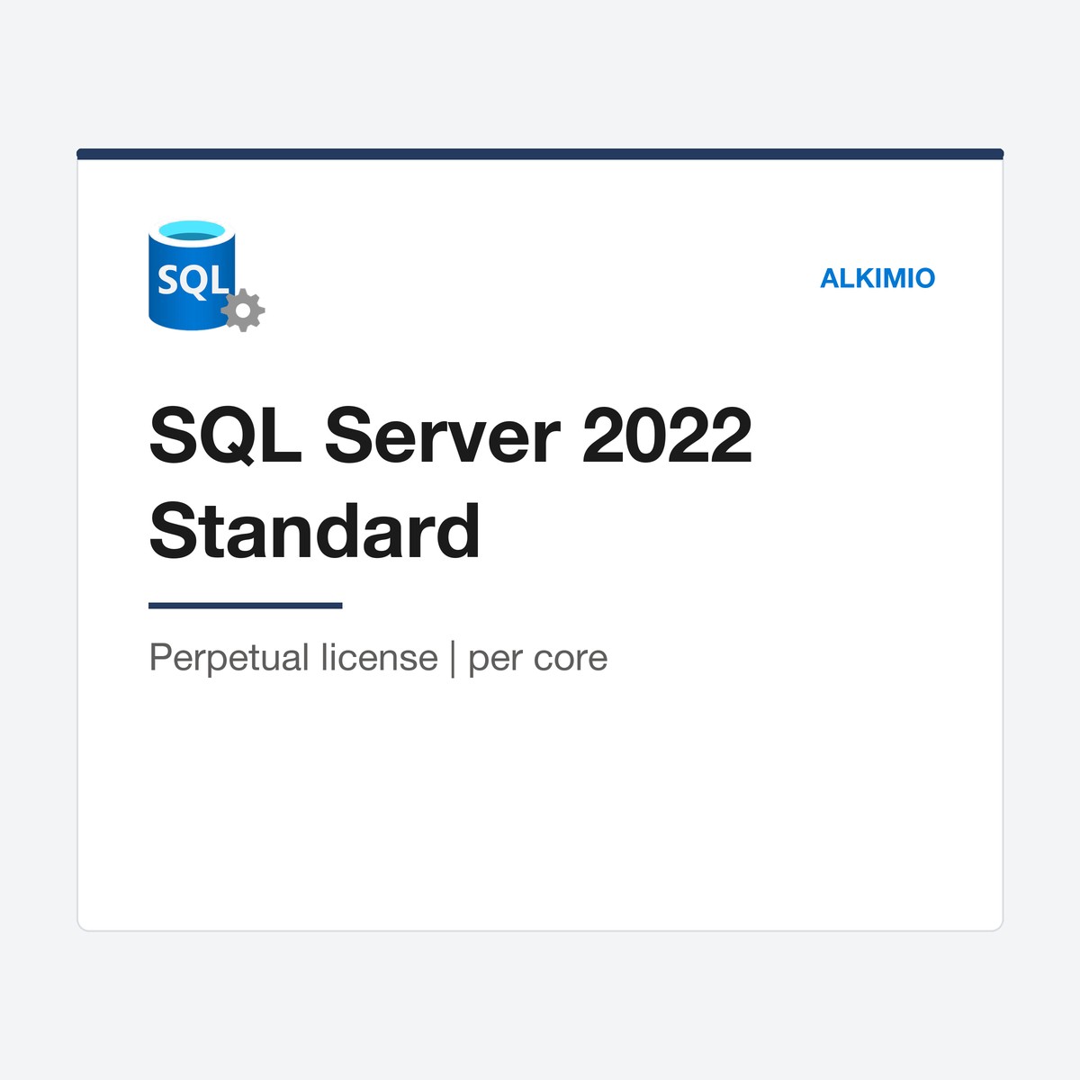 SQL Server 2022 Standard license