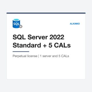 SQL Server 2022 Standard Server + 5 CALs license