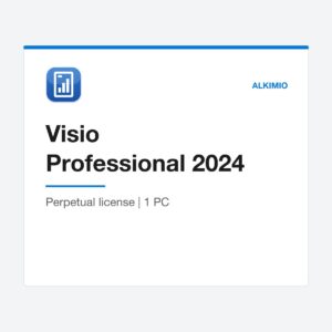 Visio Professional 2024 license