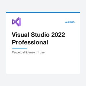 Visual Studio 2022 Professional license