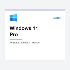 Windows 11 Pro license