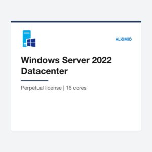 Windows Server 2022 Datacenter license