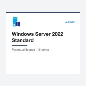 Windows Server 2022 Standard license
