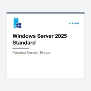 Windows Server 2025 Standard license